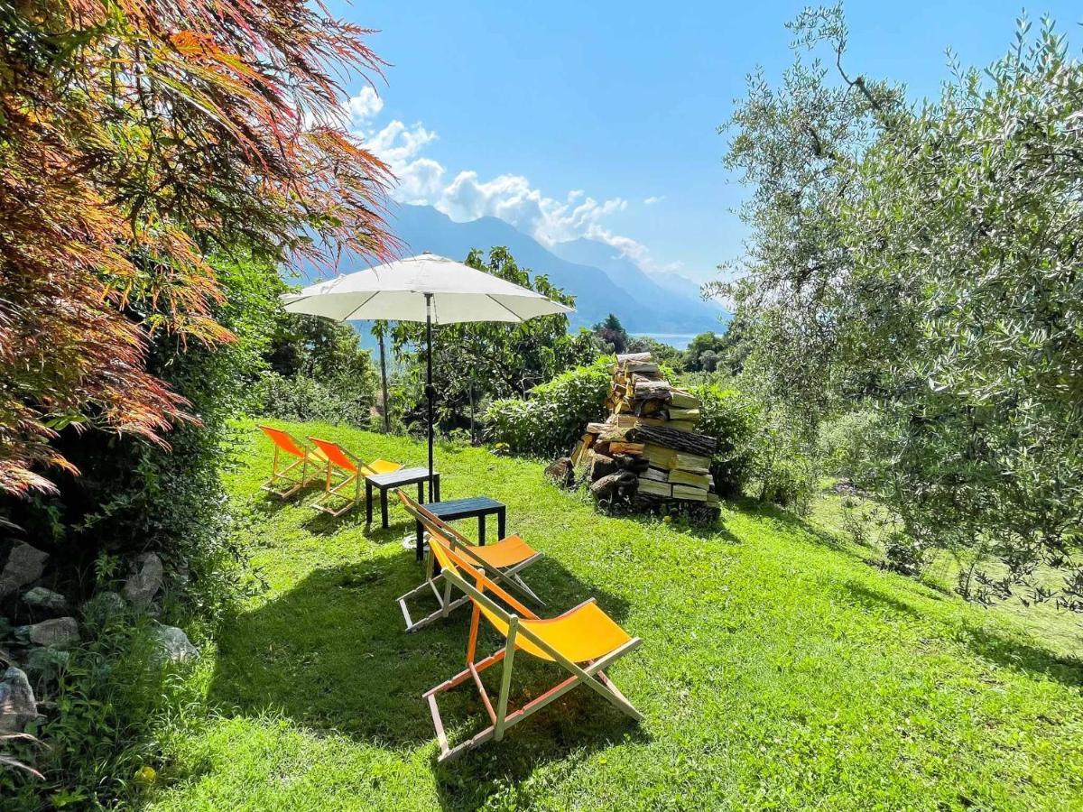 Breva Loft Tra Gli Ulivi Ed Il Lago Bellagio Eksteriør bilde