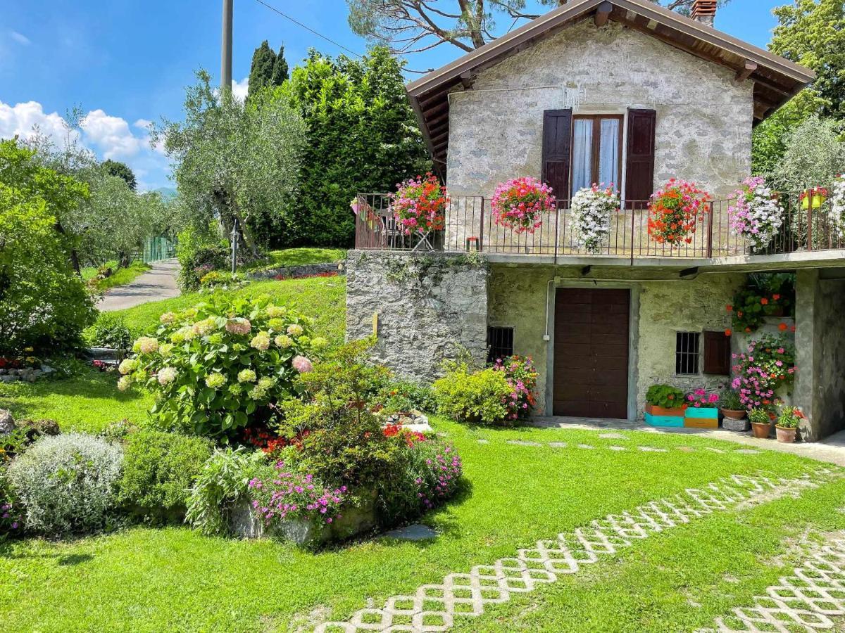 Breva Loft Tra Gli Ulivi Ed Il Lago Bellagio Eksteriør bilde
