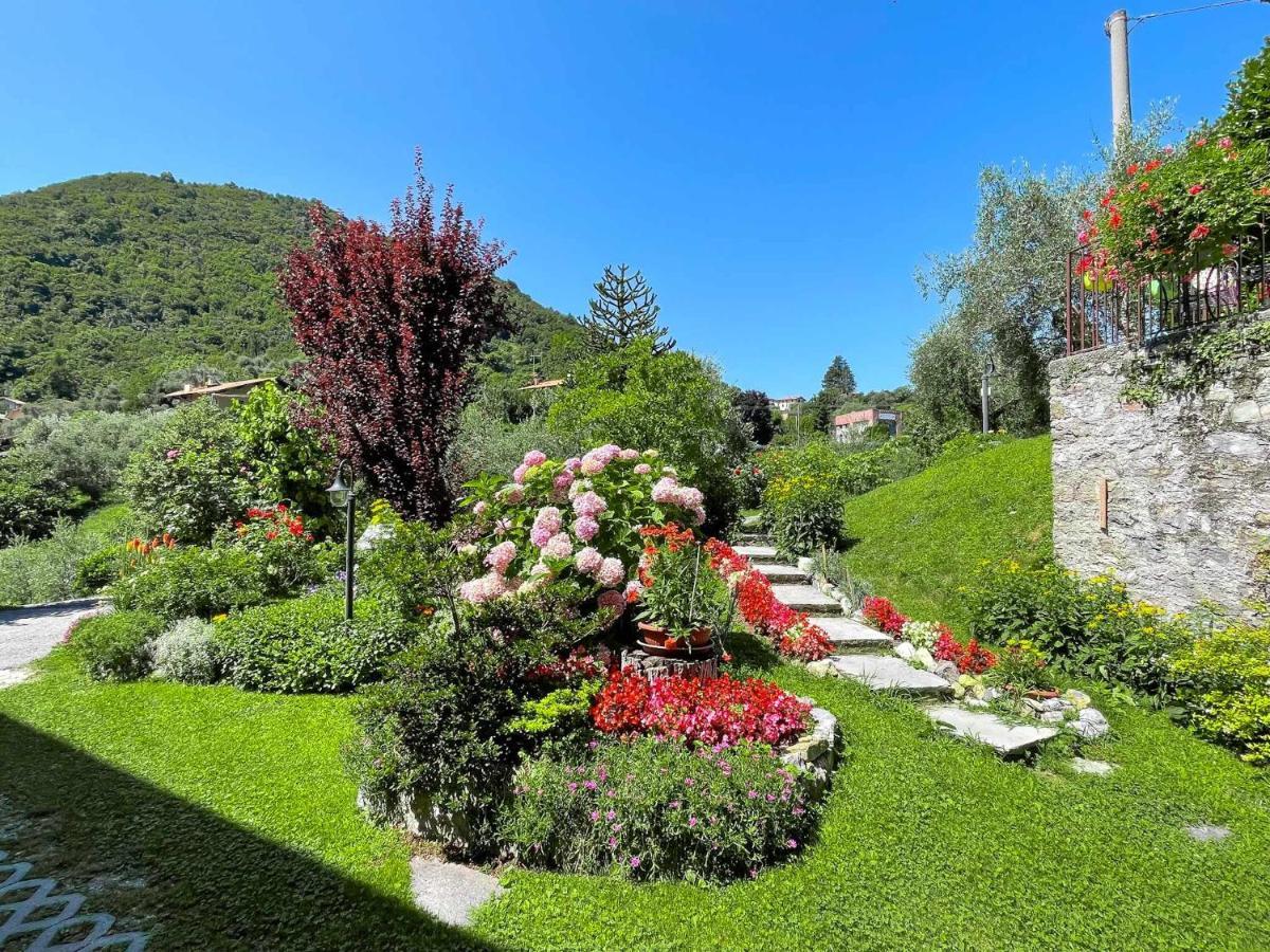 Breva Loft Tra Gli Ulivi Ed Il Lago Bellagio Eksteriør bilde